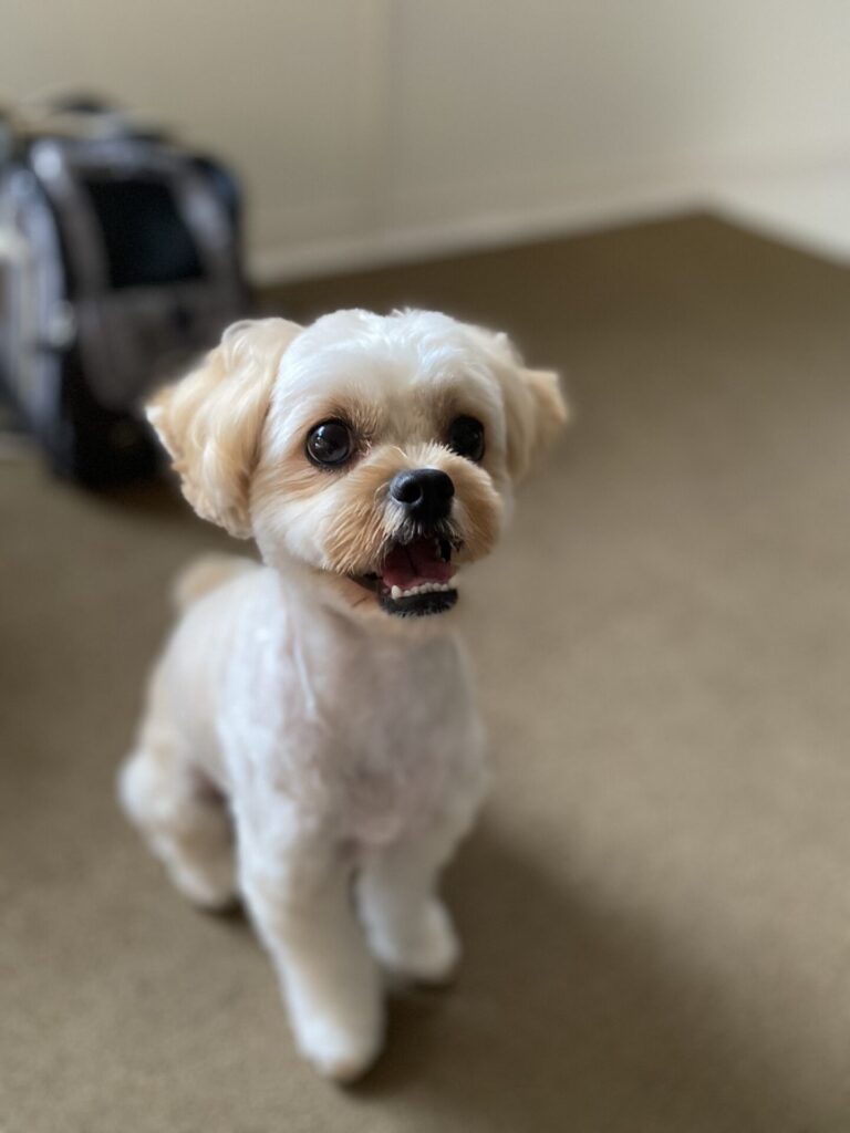 目の周りがスッキリ_コア